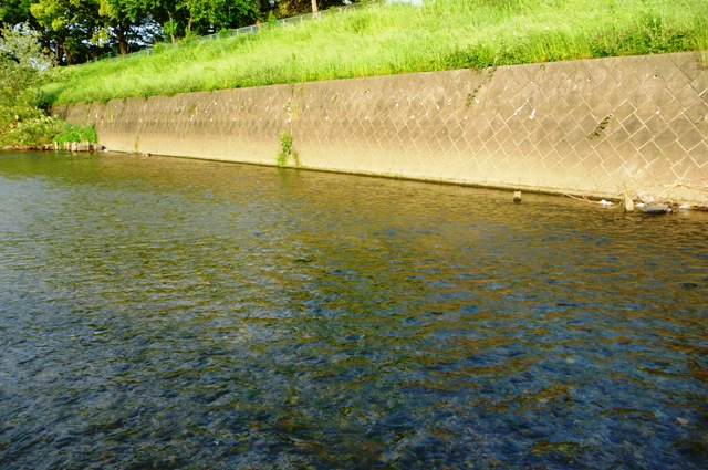 2012_0527_5.jpg