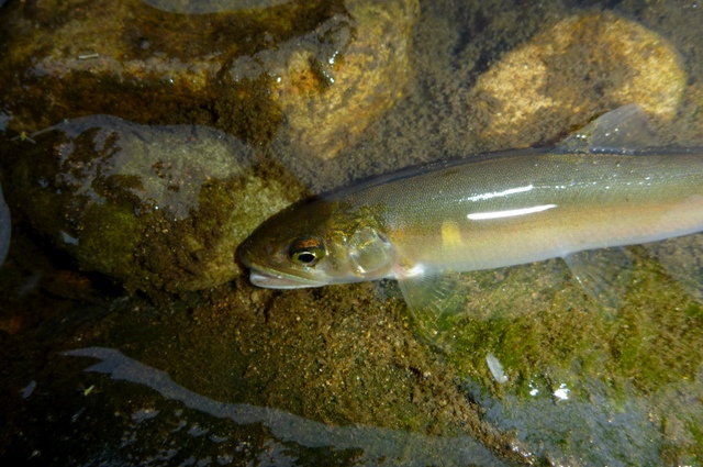 2012_0527_6.jpg