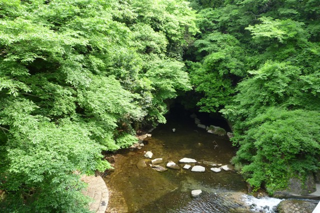 2012_0530_1.jpg