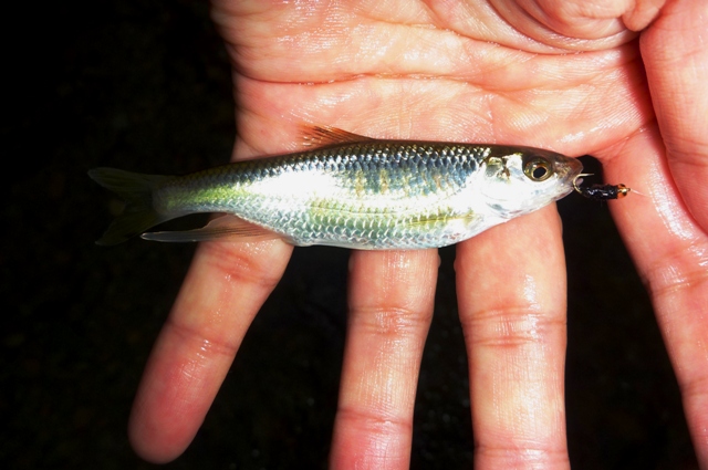 2012_0602_07.jpg