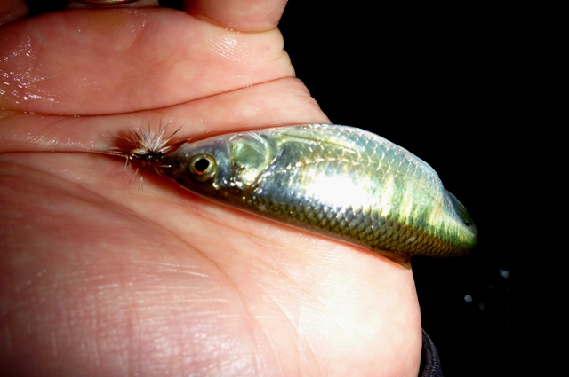 2012_0602_08.jpg