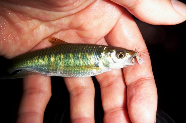 2012_0602_09.jpg