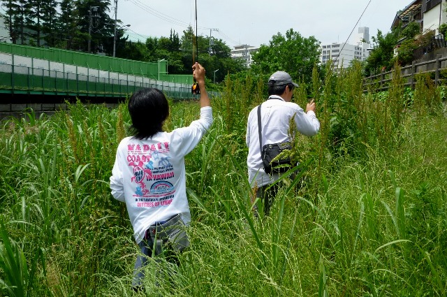2012_0603_02.jpg