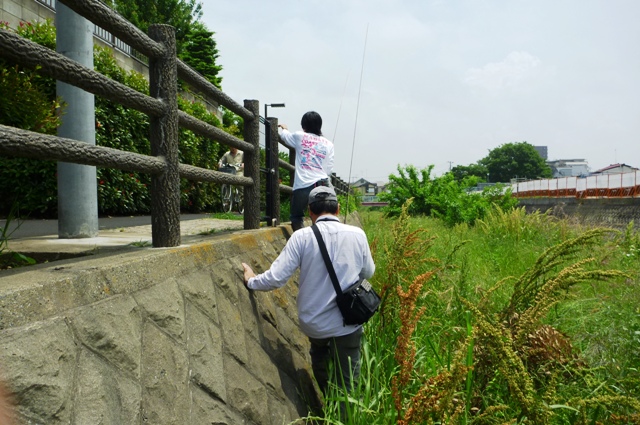 2012_0603_03.jpg
