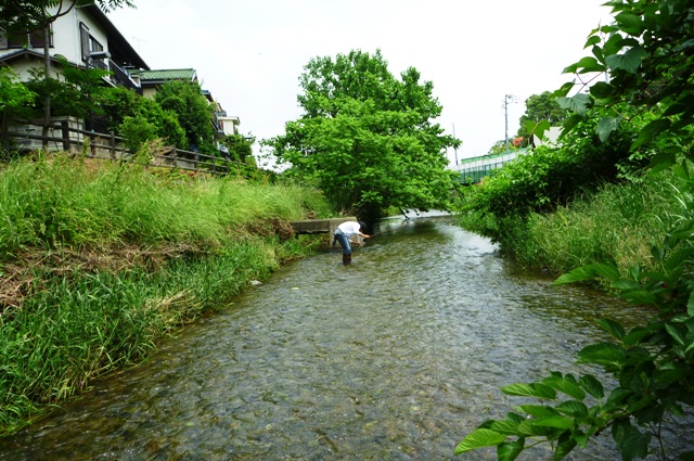 2012_0603_07_2.jpg