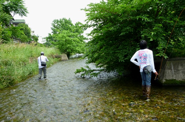 2012_0603_08.jpg