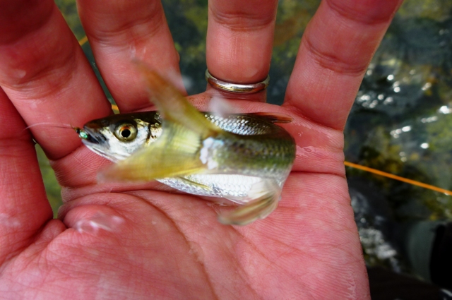 2012_0603_15.jpg