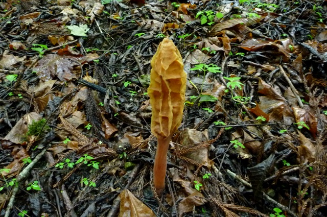 2012_0610_01.jpg