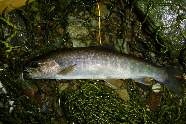 2012_0610_03.jpg