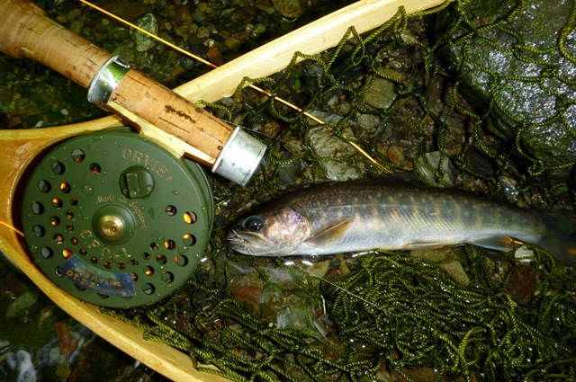 2012_0610_04.jpg