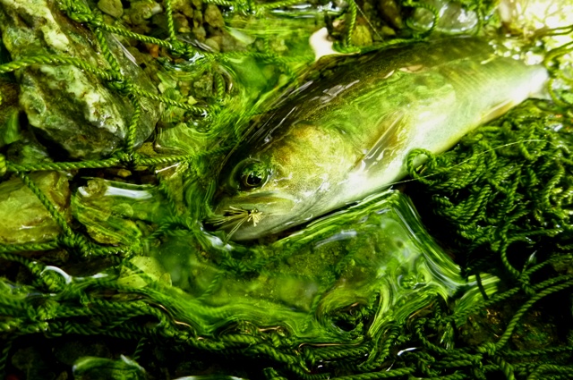 2012_0610_05.jpg