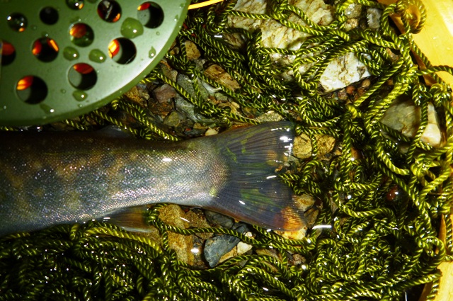 2012_0610_06.jpg