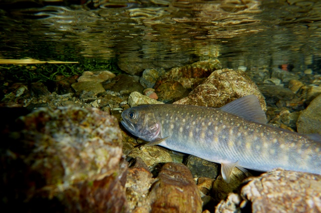 2012_0610_07.jpg