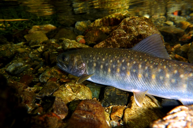 2012_0610_08.jpg