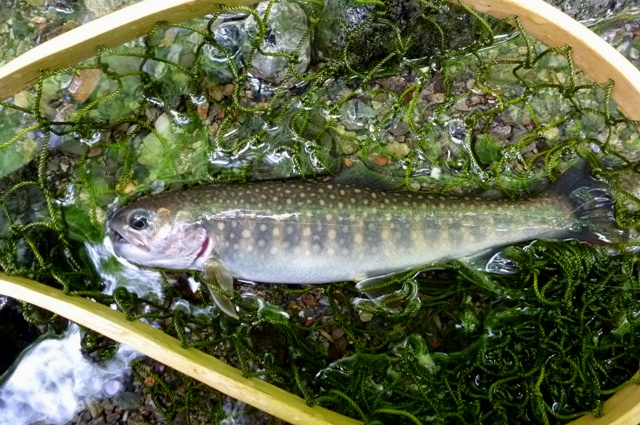 2012_0610_09.jpg