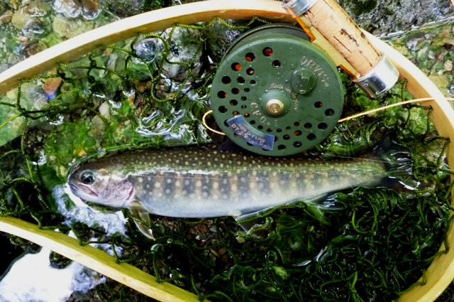 2012_0610_10.jpg