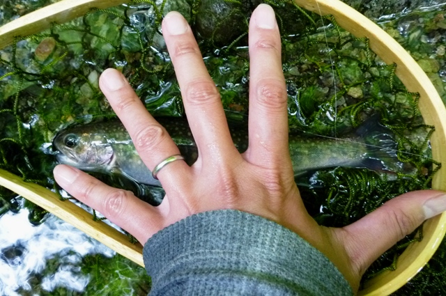 2012_0610_11.jpg