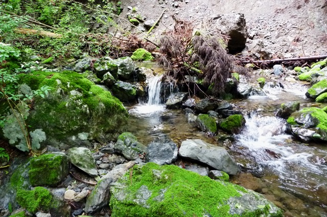 2012_0610_12.jpg