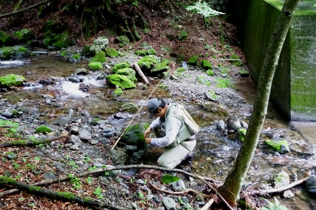 2012_0610_13.jpg