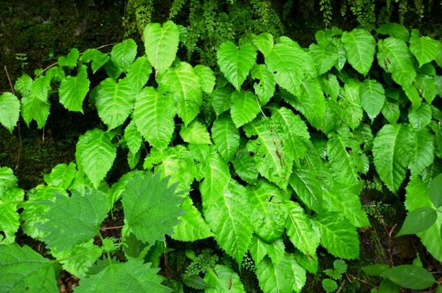 2012_0610_14.jpg