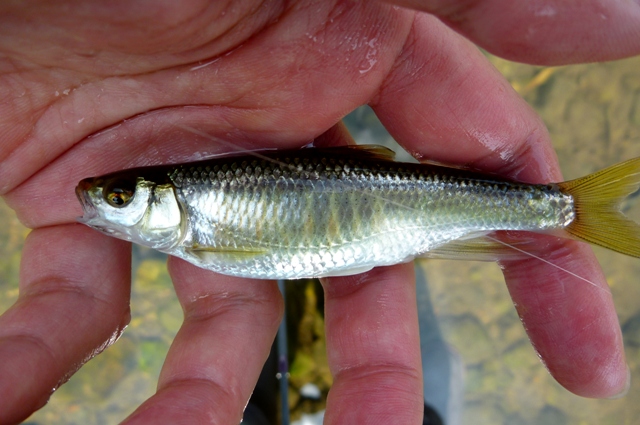2012_0618_05.jpg