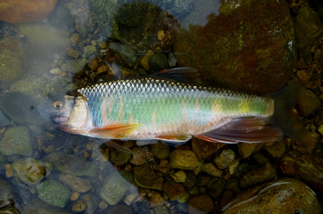 2012_0618_11.jpg