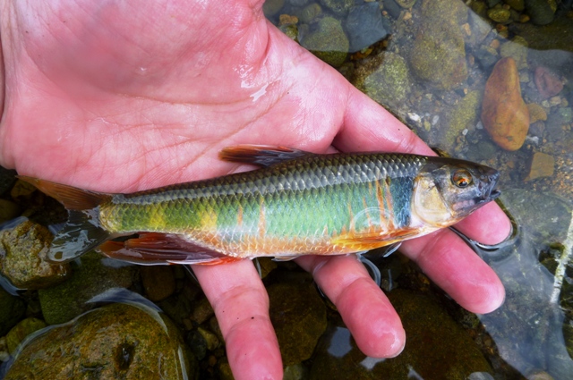 2012_0618_13.jpg