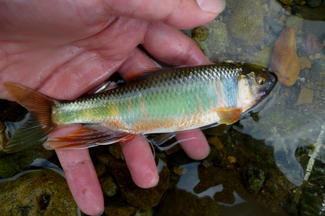 2012_0618_14.jpg