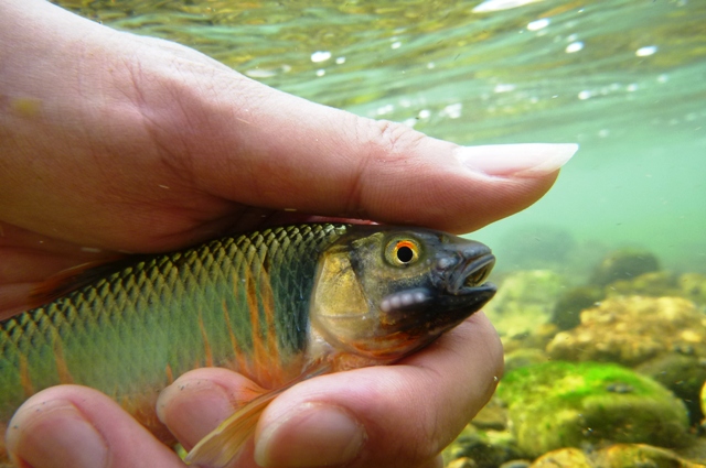 2012_0618_17.jpg