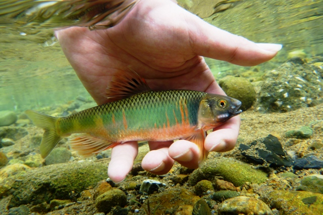 2012_0618_19.jpg