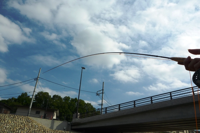 2012_0618_20.jpg