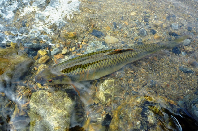 2012_0618_21.jpg