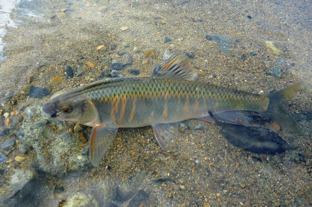 2012_0618_22.jpg