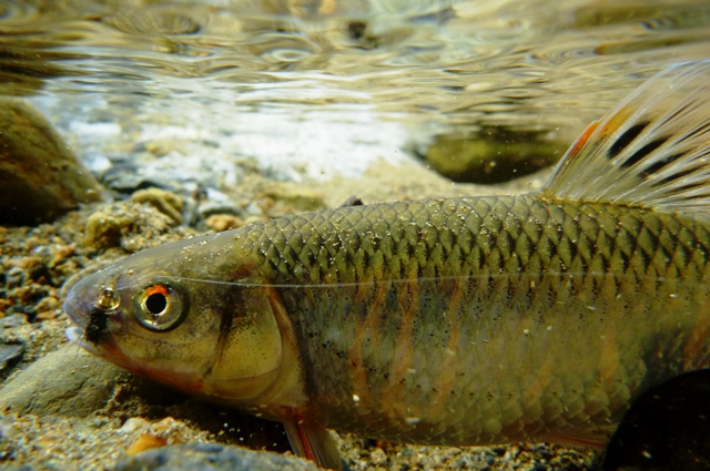 2012_0618_23.jpg