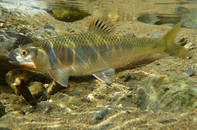 2012_0618_25.jpg