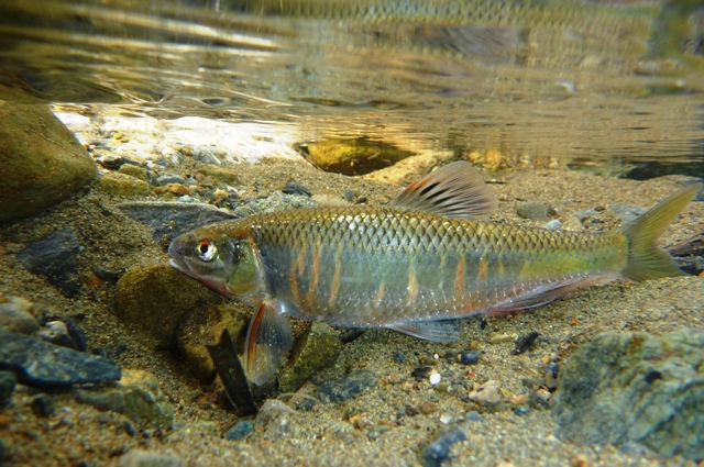 2012_0618_26.jpg