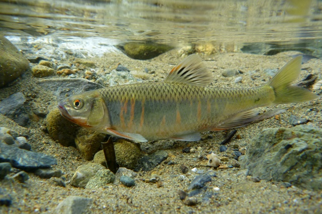 2012_0618_27.jpg