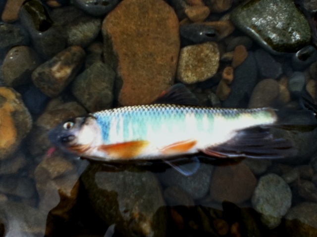 2012_0623_05.jpg