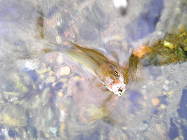 2012_0701_2.jpg