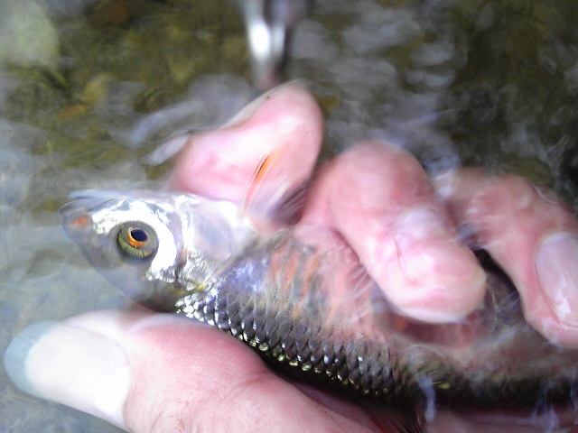 2012_0701_3.jpg