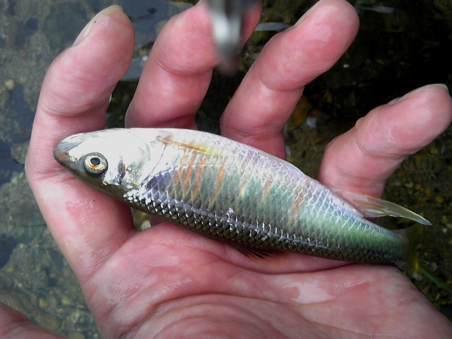 2012_0701_4.jpg