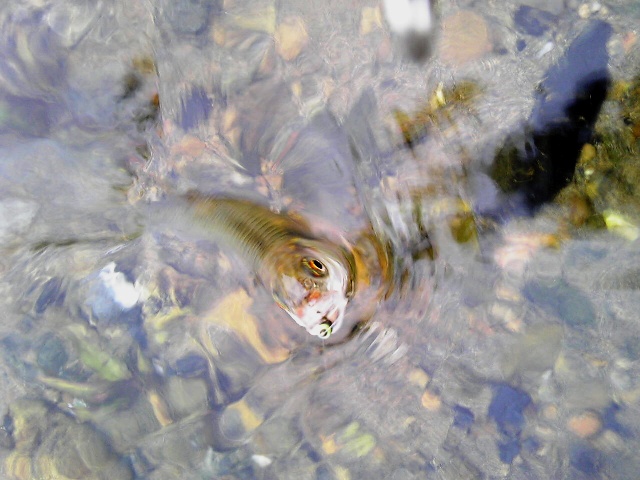 2012_0701_5.jpg
