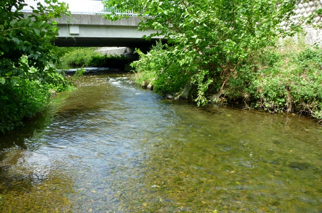 2012_0812_01.jpg