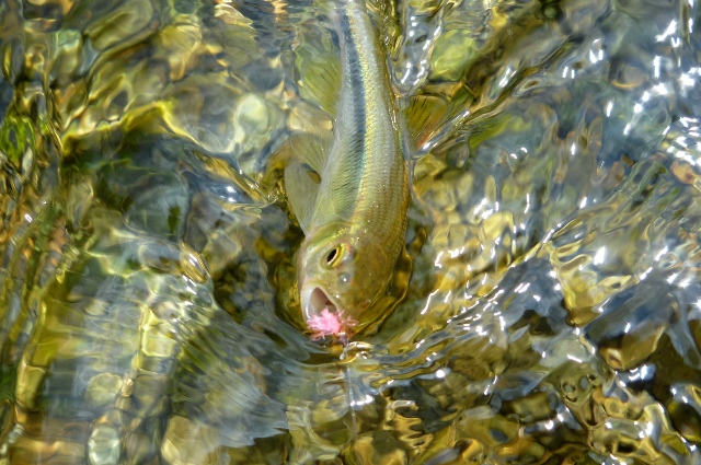 2012_0812_02.jpg