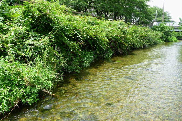 2012_0812_03.jpg