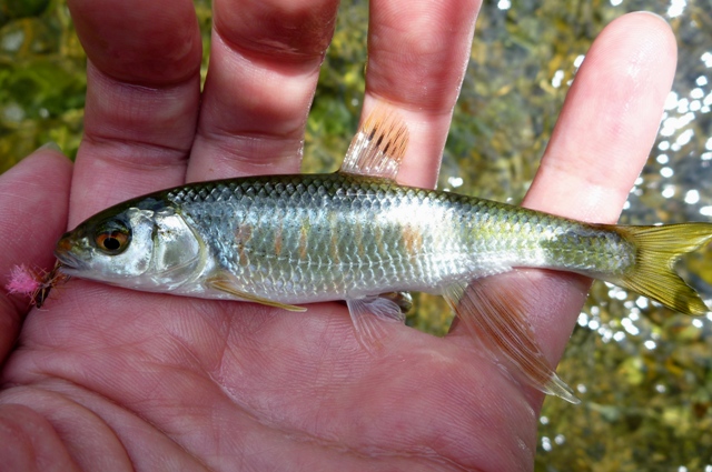 2012_0812_05.jpg