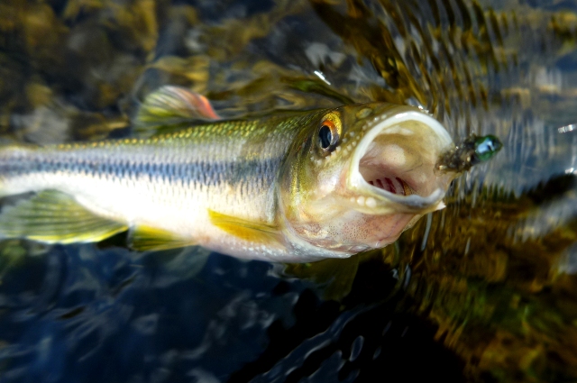 2012_0812_07.jpg
