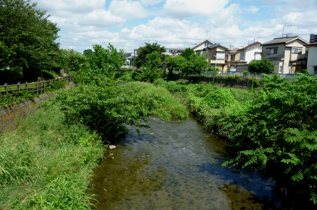 2012_0812_12.jpg