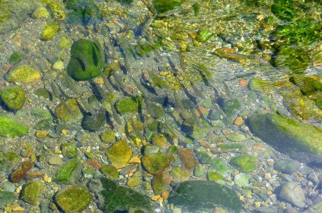 2012_0812_13.jpg