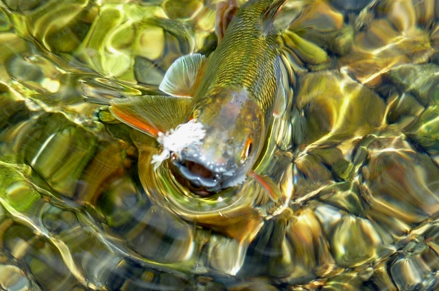 2012_0812_14.jpg